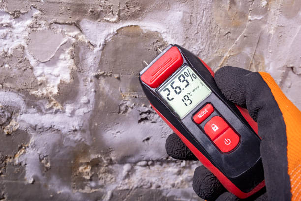 Best Professional Mold Removal  in Yamhill, OR