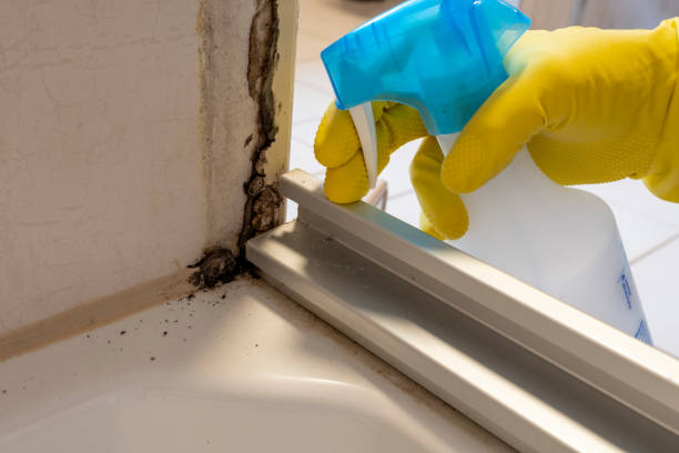 Yamhill, OR Mold Removal Company