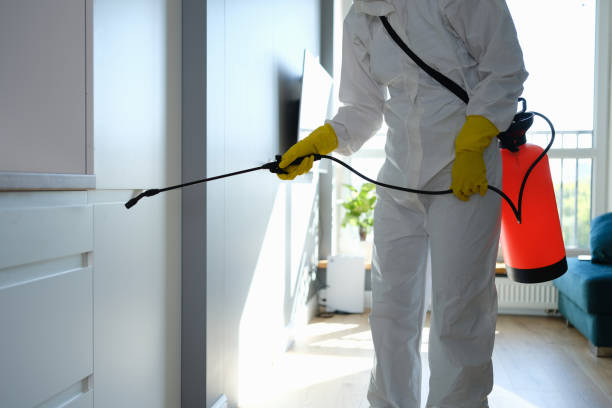Mold Removal Process in Yamhill, OR