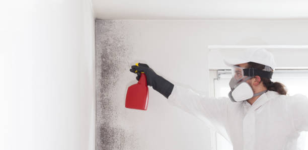 Best Mold Remediation  in Yamhill, OR